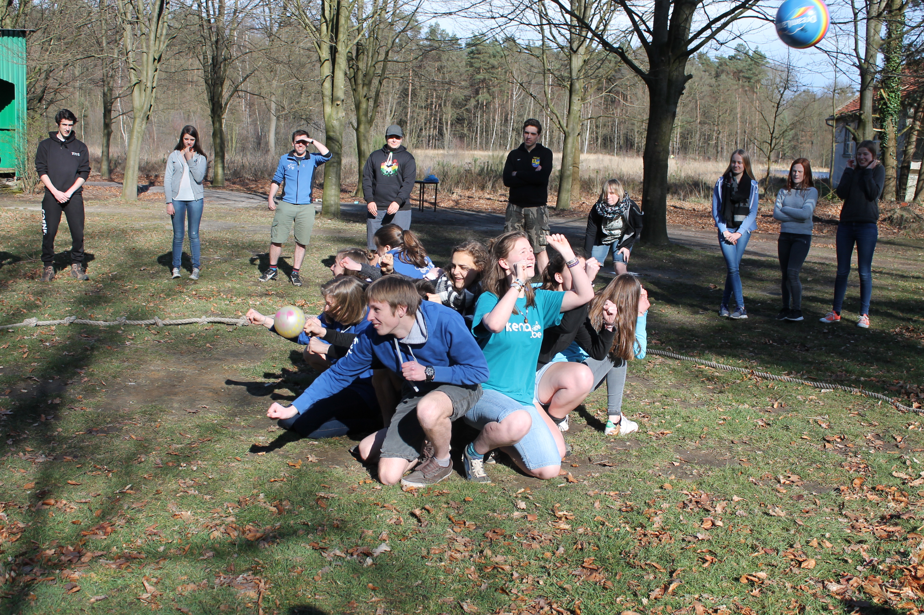 Cursus Animator